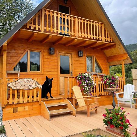 Agri Camp Dolomiti Appartement Belluno Buitenkant foto