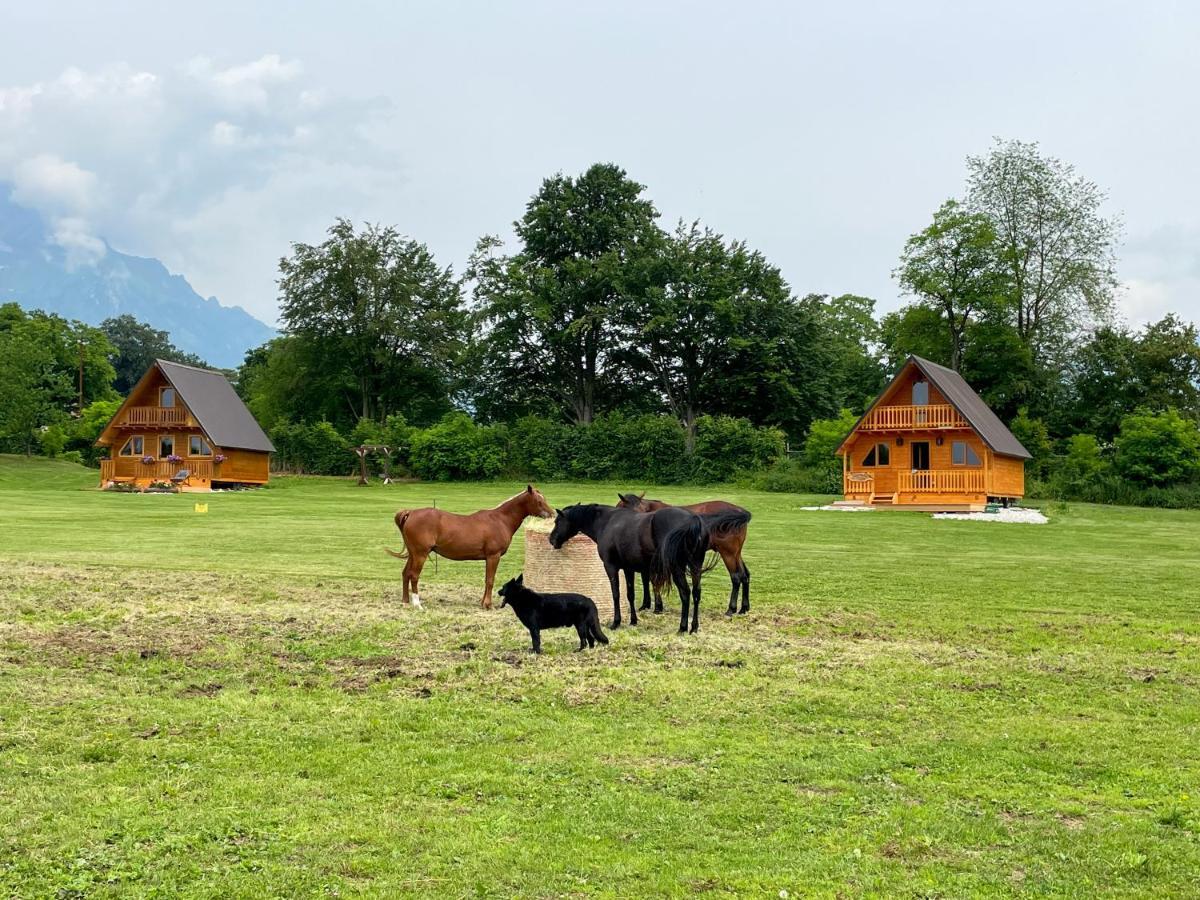 Agri Camp Dolomiti Appartement Belluno Buitenkant foto