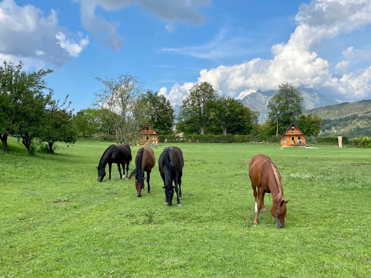 Agri Camp Dolomiti Appartement Belluno Buitenkant foto