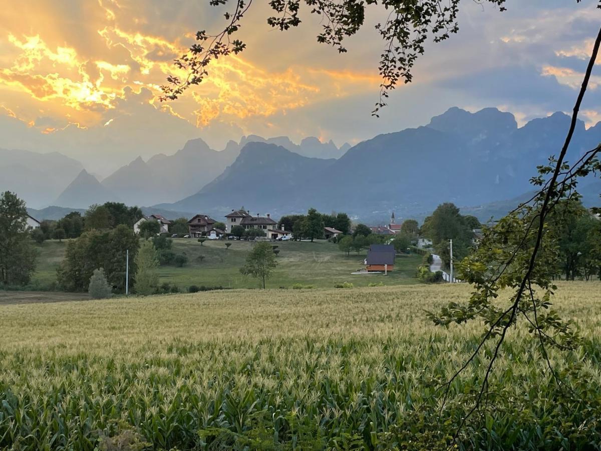 Agri Camp Dolomiti Appartement Belluno Buitenkant foto