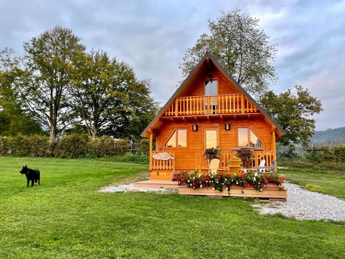 Agri Camp Dolomiti Appartement Belluno Buitenkant foto